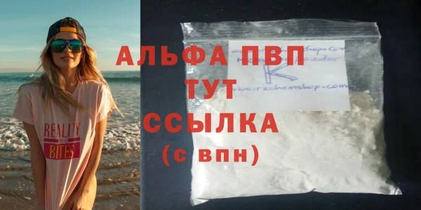 индика Белокуриха