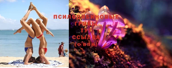 индика Белокуриха