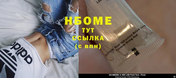 индика Белокуриха