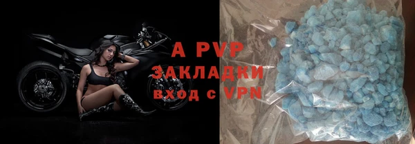 индика Белокуриха