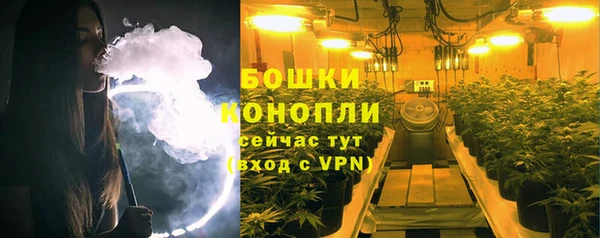 индика Белокуриха
