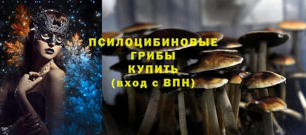 индика Белокуриха