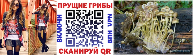 Псилоцибиновые грибы MAGIC MUSHROOMS  Калуга 
